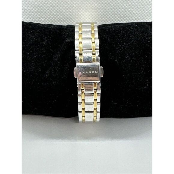 Skagen SKW2255 Women\'s Two-Tone Stainless Steel Analog Dial Quartz Watch JNA446 main image 4